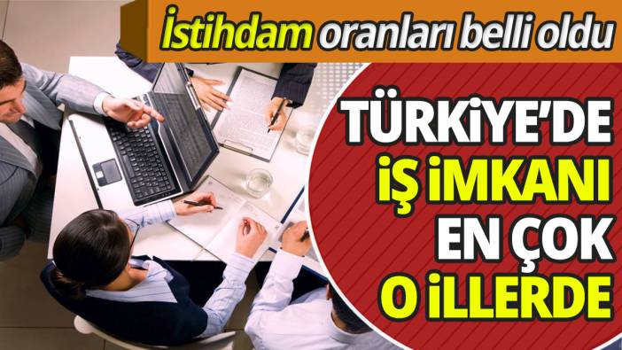 İstihdam oranları belli oldu Türkiye'de iş imkanı en çok o illerde