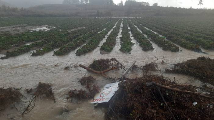 Çanakkale'de tarım arazileri şiddetli yağışa dayanamadı