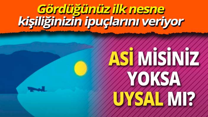 'Asi misiniz yoksa uysal mı' Gördüğünüz ilk nesne kişiliğinizin ipuçlarını veriyor