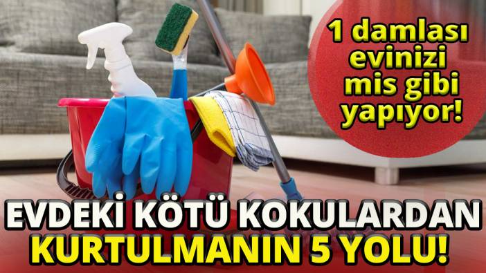 1 damlası evinizi mis gibi yapıyor' Evinizdeki kötü kokulardan kurtulmanın 5 yolu