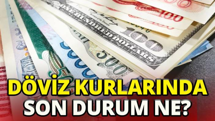 Döviz kurlarında son durum ne?