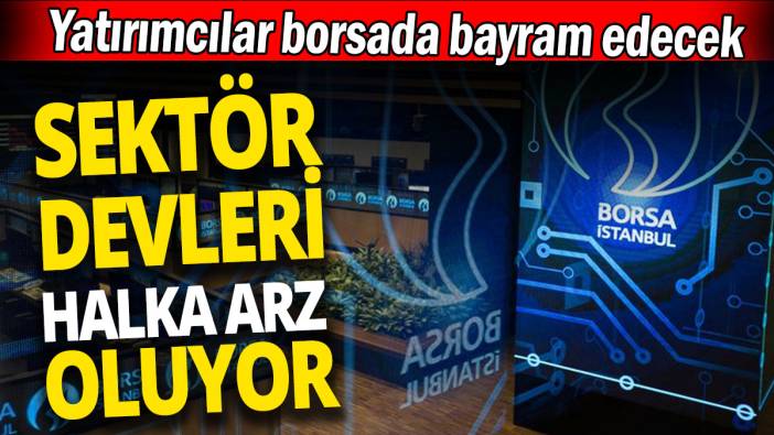 Sektör devleri halka arz oluyor