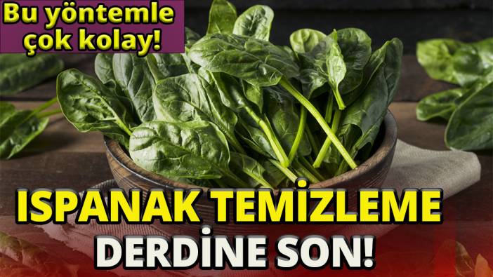 Ispanak temizleme derdine son'Bu yöntemle çok kolay'