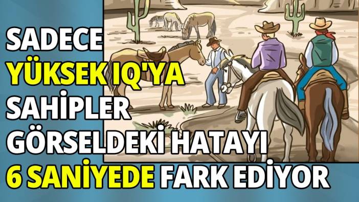 Sadece yüksek IQ'ya sahip kişiler görseldeki hatayı 6 saniyede fark ediyor