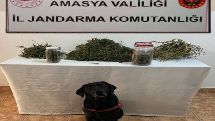 Amasya’da uyuşturucu operasyonu