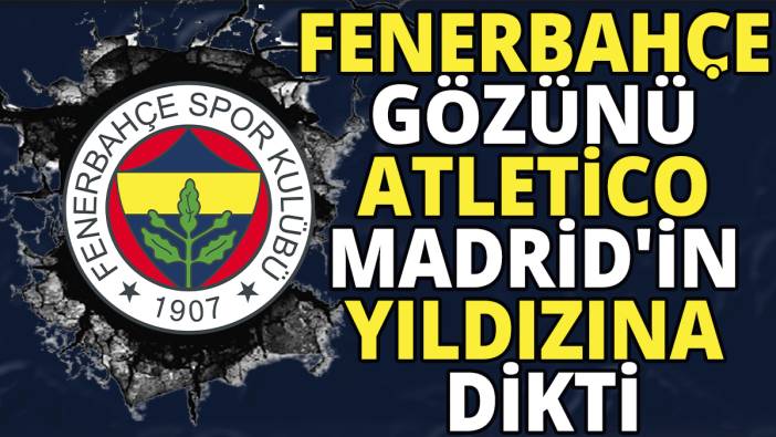 Fenerbahçe gözünü Atletico Madrid'in yıldızına dikti