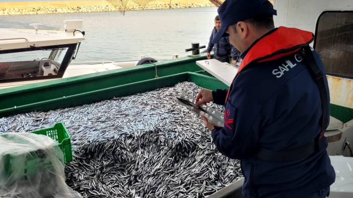 Bartın'da 6 ton istavrite el konuldu