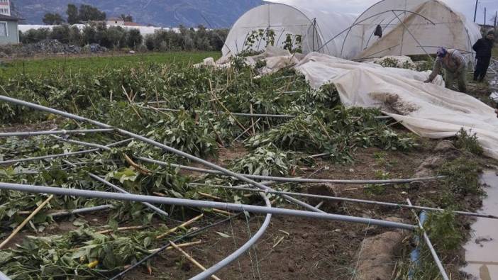 Hatay'da hortum seralara zarar verdi