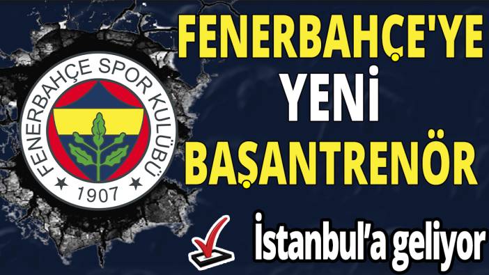 Fenerbahçe'ye yeni başantrenör 'İstanbul'a geliyor'