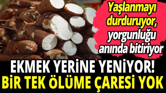 Ekmek yerine yeniyor! bir tek ölüme çaresi yok 'Yaşlanmayı durduruyor yorgunluğu anında bitiriyor