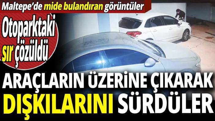 Maltepe'de mide bulandıran görüntüler 'Otoparktaki sır çözüldü' Araçların üzerine çıkarak dışkılarını sürdüler