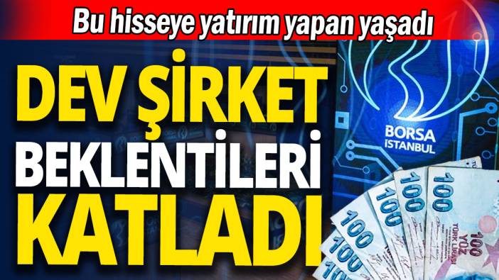 Bu hisseye yatırım yapan yaşadı 'Dev şirket beklentileri katladı'