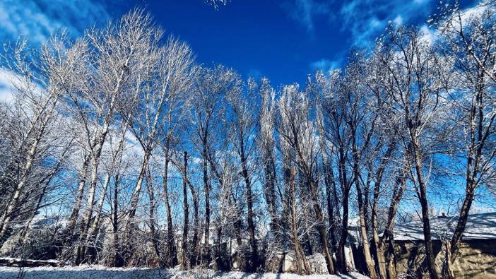 'Kışın çilesi başladı' 86 köy yolu kar nedeniyle ulaşıma kapandı