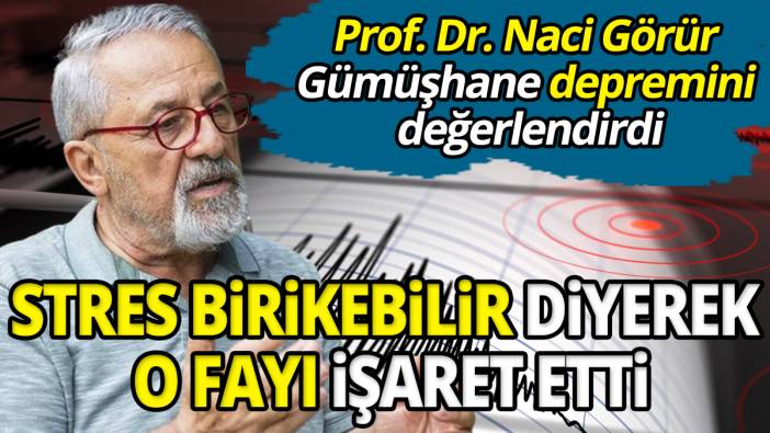 Prof. Dr. Naci Görür Gümüşhane depremini değerlendirdi Stres birikebilir diyerek o fayı işaret etti