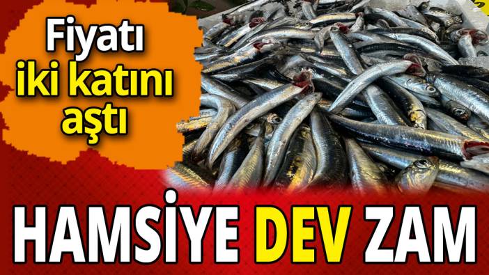 Fiyatı iki katını aştı 'Hamsiye dev zam'