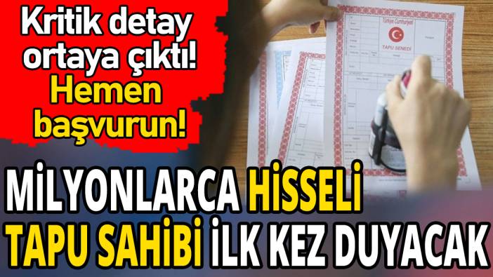Milyonlarca hisseli tapu sahibi ilk kez duyacak 'Kritik detay ortaya çıktı'