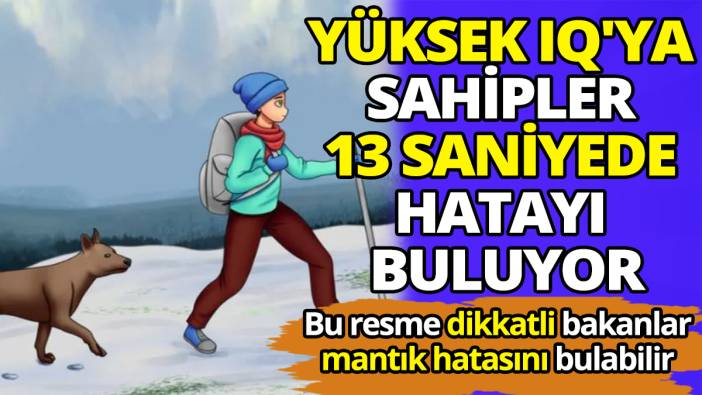 Bu resme dikkatli bakanlar mantık hatasını bulabilir Yüksek IQ'ya sahipler 13 saniyede hatayı buluyor