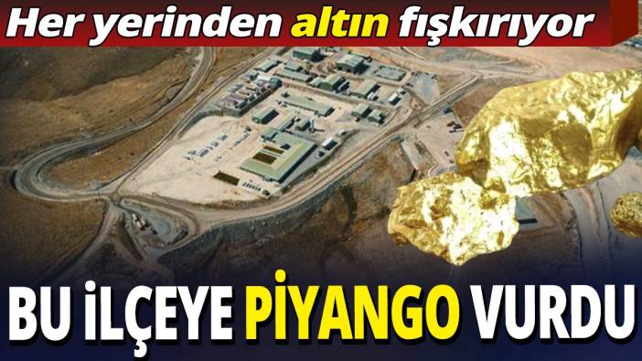 Bu ilçeye piyango vurdu 'Her yerinden altın fışkırıyor'