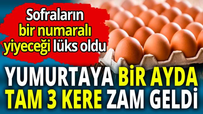 Sofraların bir numaralı yiyeceği lüks oldu  'Yumurtaya bir ayda tam 3 kere zam geldi'