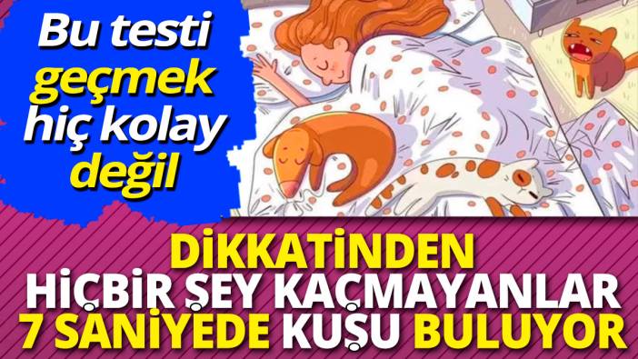Dikkatinden hiçbir şey kaçmayanlar 7 saniyede kuşu buluyor 'Bu testi geçmek hiç kolay değil'