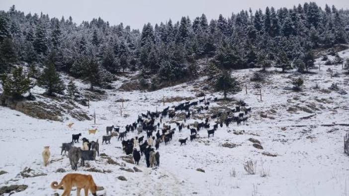 Doğu Akdeniz'de kar yağışı etkili oldu