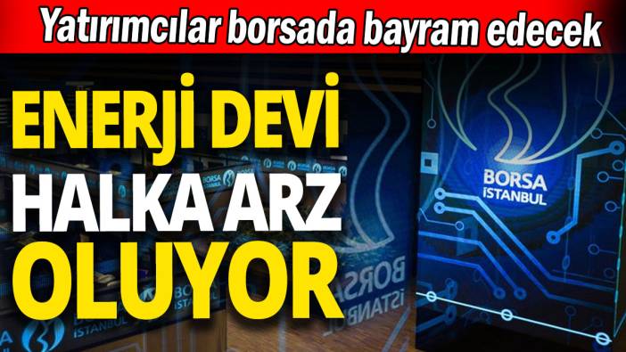 Enerji devi halka arz oluyor 'Yatırımcılar borsada bayram edecek'