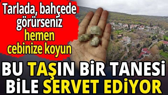 Tarlada bahçede görürseniz hemen cebinize koyun 'Bu taşın bir tanesi bile servet ediyor