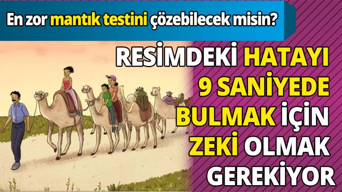 En zor mantık testini çözebilecek misin Resimdeki hatayı 9 saniyede bulmak için zeki olmak gerekiyor
