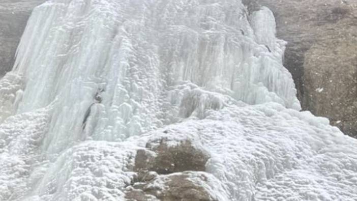Ağrı'da 33 metrelik şelale buz kesti