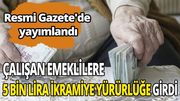 Resmi Gazete'de yayımlandı Çalışan emeklilere 5 bin lira ikramiye yürürlüğe girdi