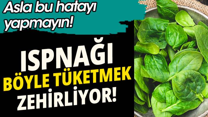 Ispanağı böyle tüketmek zehirliyor 'Bu hatayı asla yapmayın