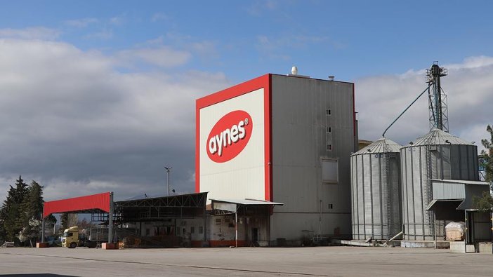 Aynes gıda yönetimi TMSF'ye devredildi