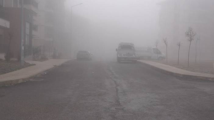 Elazığ’da yoğun sis