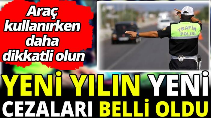 Yeni yılın yeni cezaları belli oldu 'Araç kullanırken daha dikkatli olun'