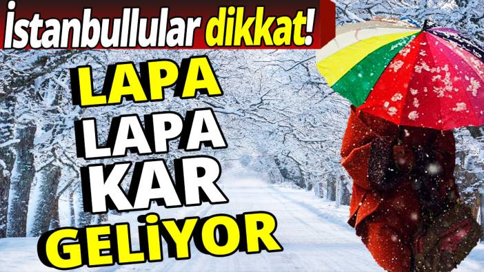 'İstanbullular dikkat' Lapa lapa kar geliyor