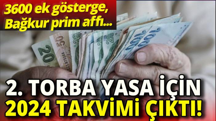 2. torba yasa için 2024 takvimi çıktı '3600 ek gösterge, Bağkur prim affı...'