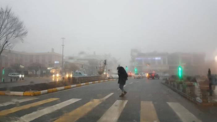 Erzincan'da sis hayatı olumsuz etkiledi