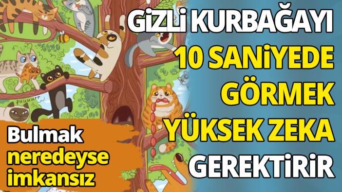 Bulmak neredeyse imkansız Dikkat testinde gizli kurbağayı 10 saniyede görmek yüksek zeka gerektirir