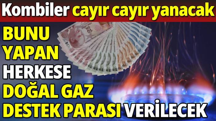 Bunu yapan herkese doğal gaz destek parası verilecek