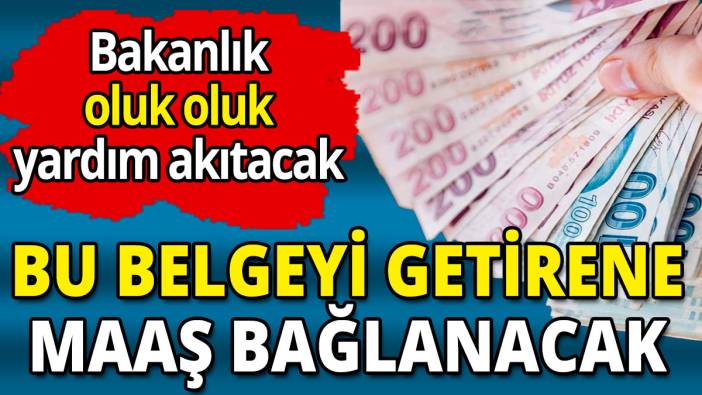 Bu belgeyi getirene maaş bağlanacak 'Bakanlık oluk oluk yardım akıtacak'
