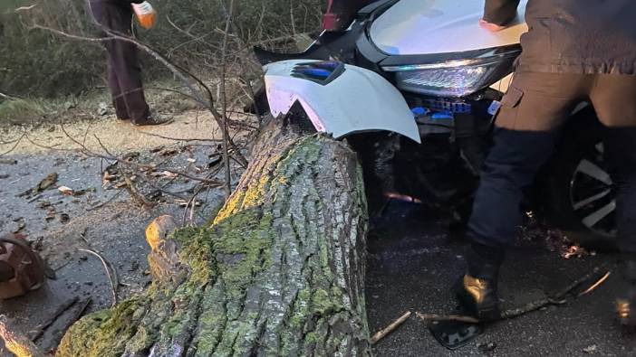 Devrilen ağaca otomobil çarptı