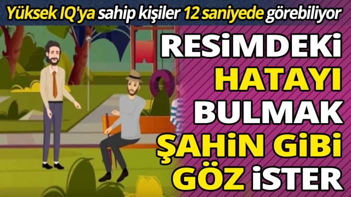 Yüksek IQ'ya sahip kişiler 12 saniyede görebiliyor Resimdeki hatayı bulmak şahin gibi göz ister