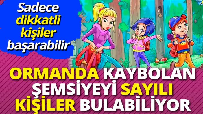 Ormanda kaybolan şemsiyeyi sayılı kişiler bulabiliyor 'Sadece dikkatli kişiler başarabilir'