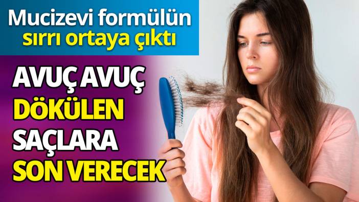 Avuç avuç dökülen saçlara son verecek 'Mucizevi formülün sırrı ortaya çıktı'