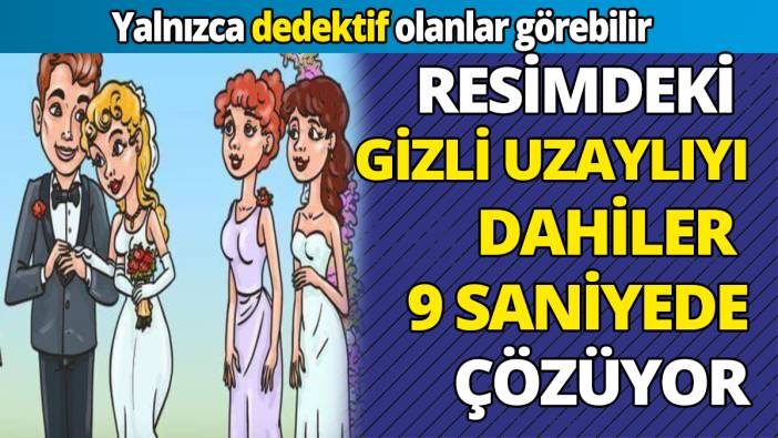 Yalnızca dedektif olanlar görebilir Resimdeki  gizli uzaylıyı dahiler 9 saniyede çözüyor