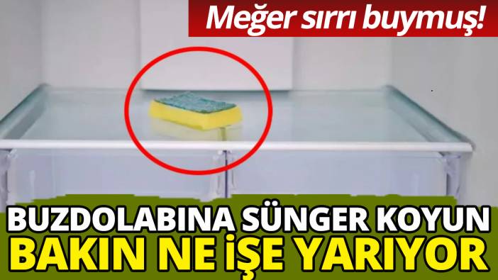 Buzdolabına sünger koyun bakın ne işe yarıyor' Meğer sırrı buymuş'