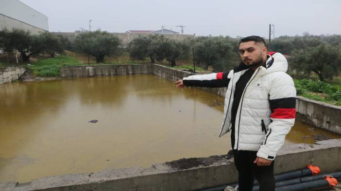 Hatay'da zeytinyağı dolu olan iki depo patladı