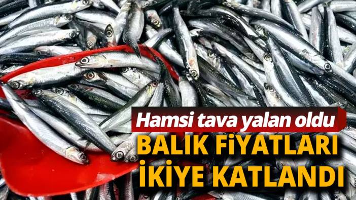 Balık fiyatları ikiye katlandı Hamsi istavrit levrek el yakıyor