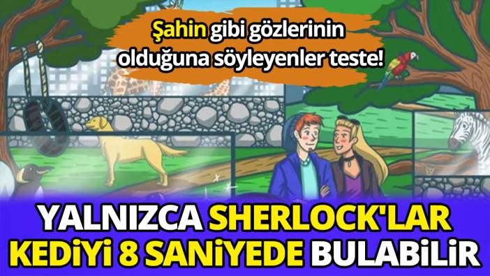 Yalnızca Sherlock'lar kediyi 8 saniyede bulabilir