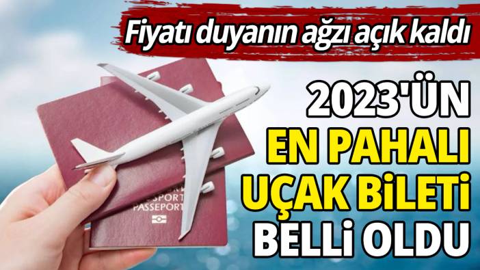 Fiyatı duyanın ağzı açık kaldı 2023'ün en pahalı uçak bileti belli oldu